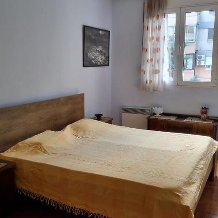Apartment Z พอดโกริกา ภายนอก รูปภาพ